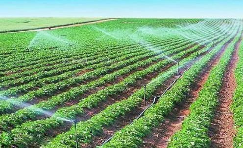 鸡巴操逼APP农田高 效节水灌溉
